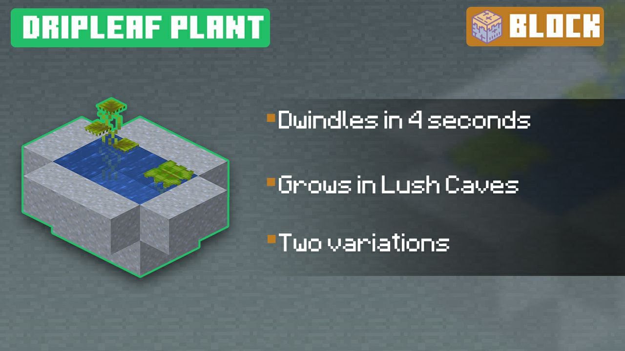 Dripleaf Plant for Minecraft PE 1.17